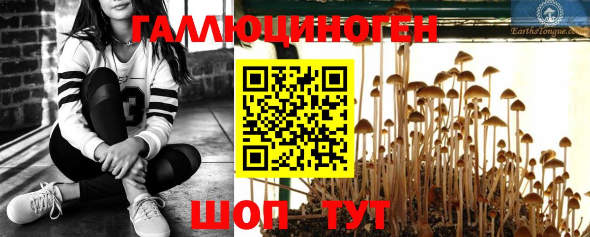 Псилоцибиновые грибы GOLDEN TEACHER  Псилоцибиновые грибы Magic Shrooms  Кропоткин  Вход с VPN 