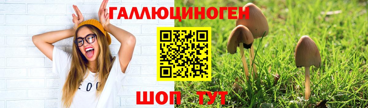 Галлюциногенные грибы Cubensis Кропоткин